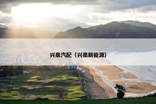 兴泉汽配（兴泉新能源）