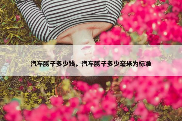 汽车腻子多少钱，汽车腻子多少毫米为标准
