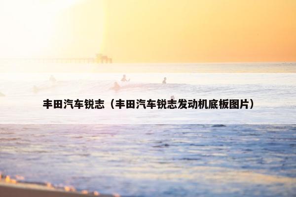 丰田汽车锐志（丰田汽车锐志发动机底板图片）