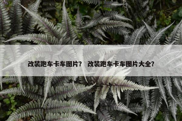 改装跑车卡车图片？ 改装跑车卡车图片大全？