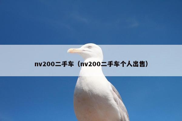 nv200二手车（nv200二手车个人出售）
