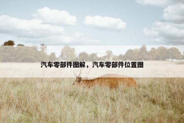 汽车零部件图解，汽车零部件位置图