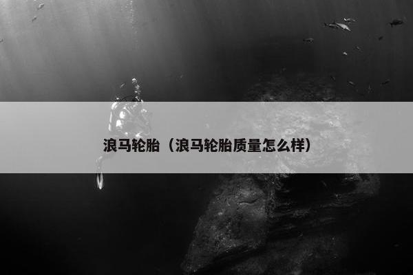 浪马轮胎（浪马轮胎质量怎么样）