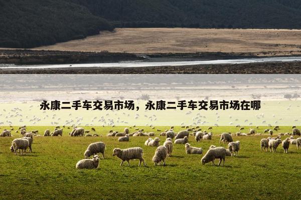 永康二手车交易市场，永康二手车交易市场在哪