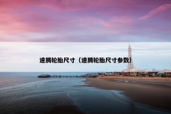 速腾轮胎尺寸（速腾轮胎尺寸参数）