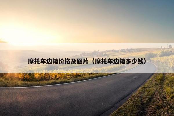 摩托车边箱价格及图片（摩托车边箱多少钱）