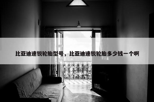 比亚迪速锐轮胎型号，比亚迪速锐轮胎多少钱一个啊