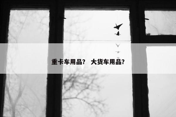 重卡车用品？ 大货车用品？