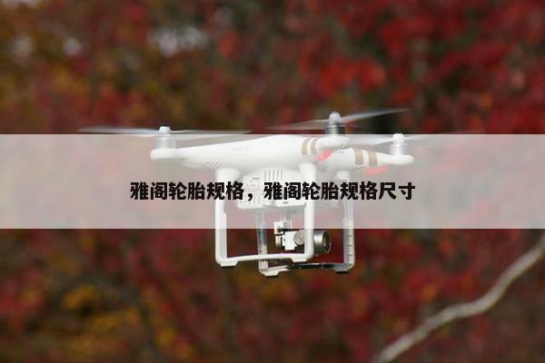 雅阁轮胎规格，雅阁轮胎规格尺寸