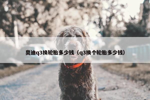 奥迪q3换轮胎多少钱（q3换个轮胎多少钱）