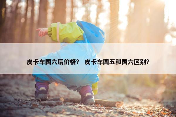 皮卡车国六后价格？ 皮卡车国五和国六区别？