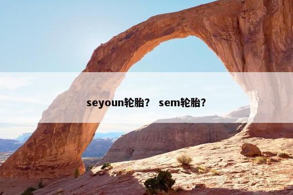 seyoun轮胎？ sem轮胎？