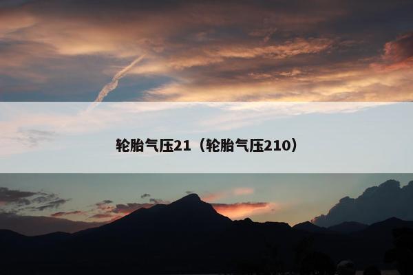 轮胎气压21（轮胎气压210）