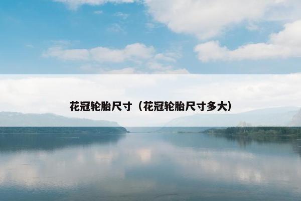 花冠轮胎尺寸（花冠轮胎尺寸多大）