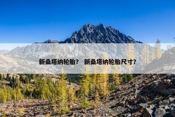 新桑塔纳轮胎？ 新桑塔纳轮胎尺寸？