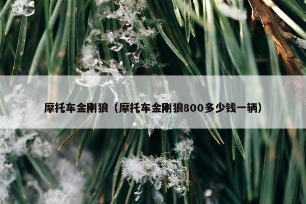 摩托车金刚狼（摩托车金刚狼800多少钱一辆）