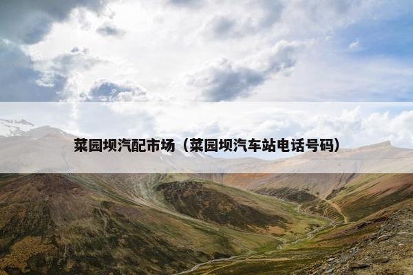 菜园坝汽配市场（菜园坝汽车站电话号码）