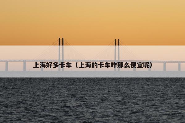 上海好多卡车（上海的卡车咋那么便宜呢）