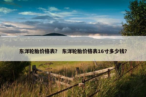 东洋轮胎价格表？ 东洋轮胎价格表16寸多少钱？