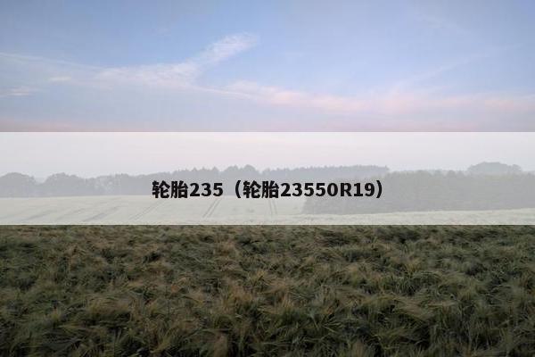 轮胎235（轮胎23550R19）