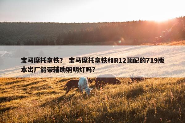 宝马摩托拿铁？ 宝马摩托拿铁和R12顶配的719版本出厂能带辅助照明灯吗？