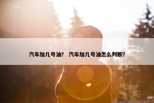 汽车加几号油？ 汽车加几号油怎么判断？