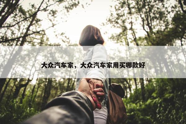 大众汽车家，大众汽车家用买哪款好