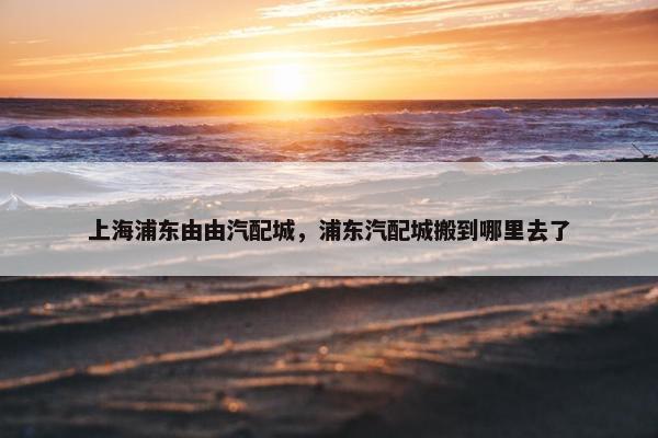 上海浦东由由汽配城，浦东汽配城搬到哪里去了
