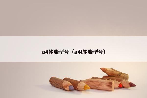 a4轮胎型号（a4l轮胎型号）