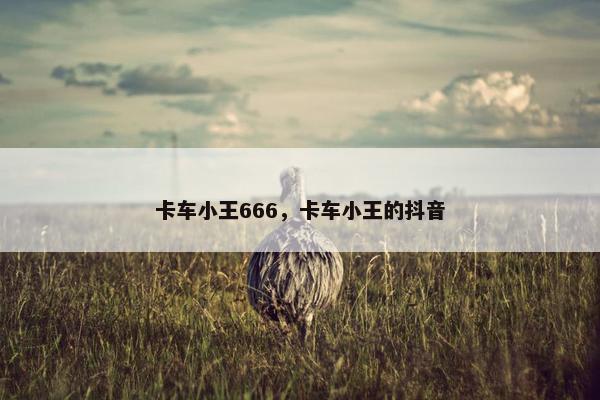 卡车小王666，卡车小王的抖音