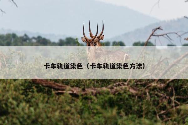 卡车轨道染色（卡车轨道染色方法）