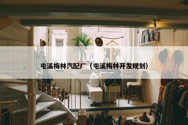 屯溪梅林汽配厂（屯溪梅林开发规划）