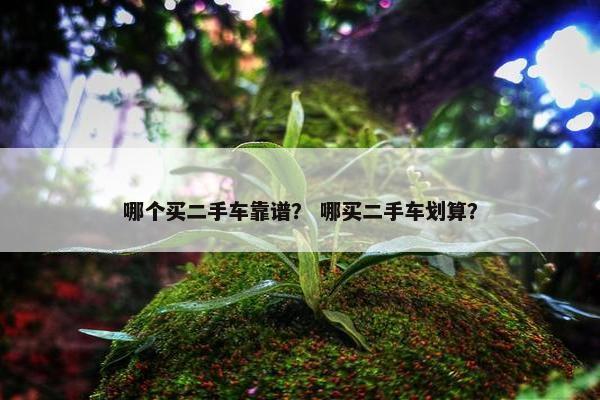 哪个买二手车靠谱？ 哪买二手车划算？