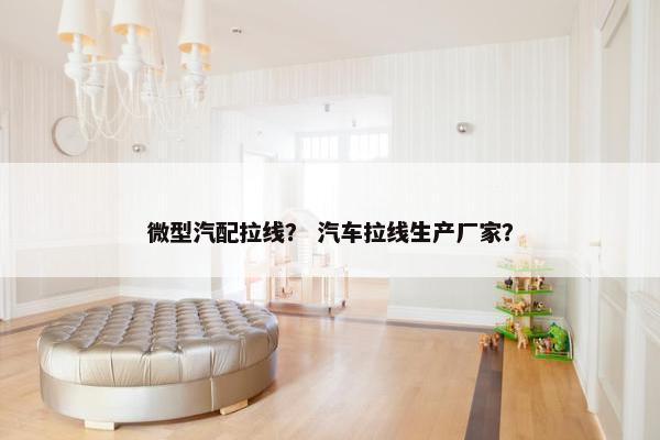 微型汽配拉线？ 汽车拉线生产厂家？