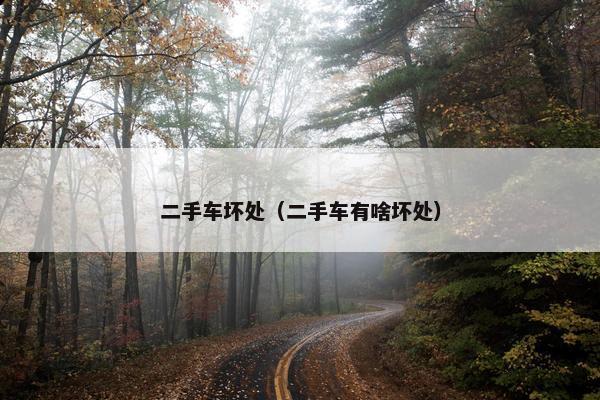 二手车坏处（二手车有啥坏处）