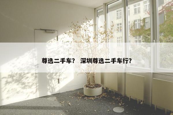 尊选二手车？ 深圳尊选二手车行？