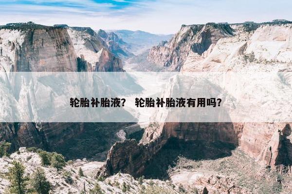 轮胎补胎液？ 轮胎补胎液有用吗？