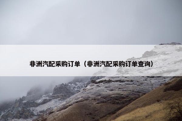 非洲汽配采购订单（非洲汽配采购订单查询）