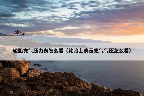 轮胎充气压力表怎么看（轮胎上表示充气气压怎么看）