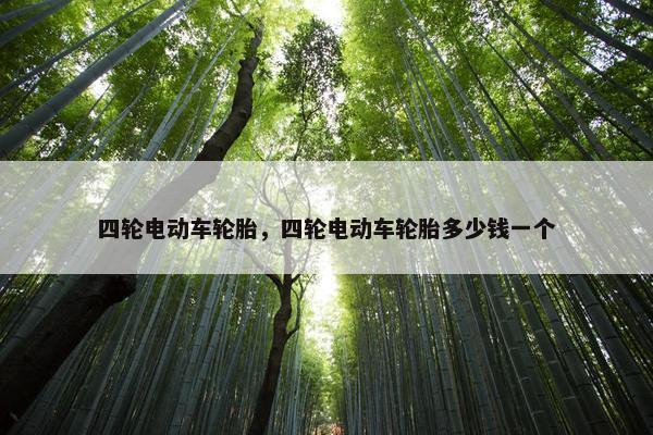 四轮电动车轮胎，四轮电动车轮胎多少钱一个