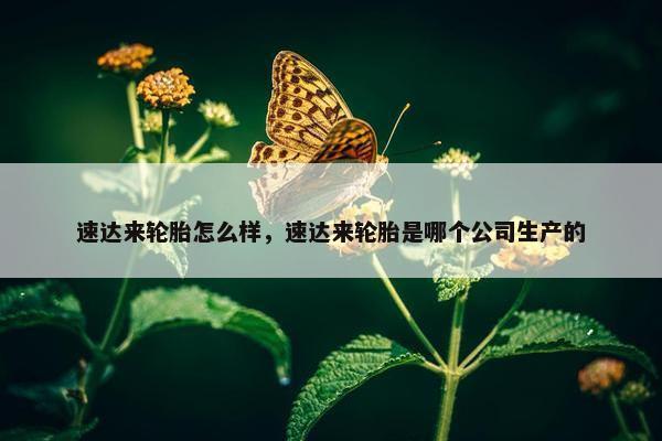 速达来轮胎怎么样，速达来轮胎是哪个公司生产的