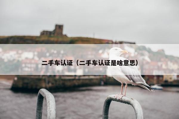 二手车认证（二手车认证是啥意思）