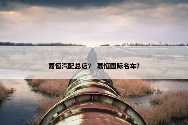 嘉恒汽配总店？ 嘉恒国际名车？