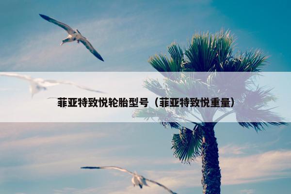 菲亚特致悦轮胎型号（菲亚特致悦重量）