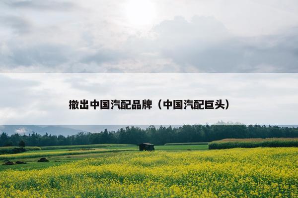 撤出中国汽配品牌（中国汽配巨头）