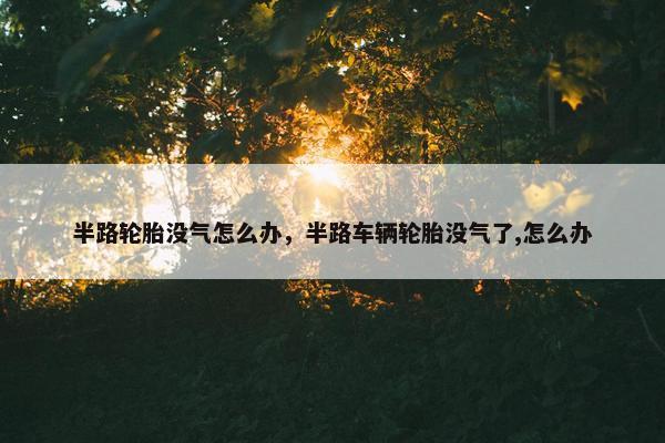 半路轮胎没气怎么办，半路车辆轮胎没气了,怎么办