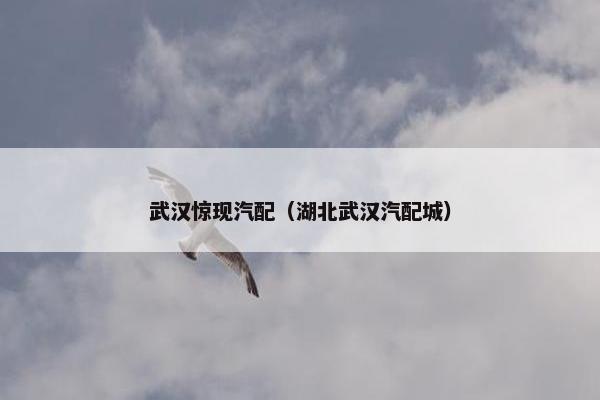 武汉惊现汽配（湖北武汉汽配城）