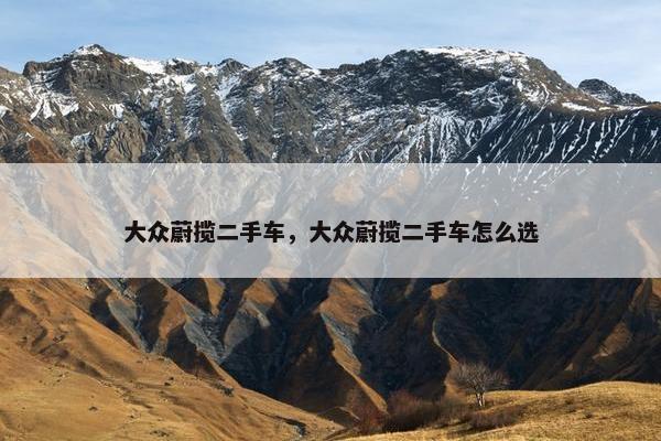大众蔚揽二手车，大众蔚揽二手车怎么选