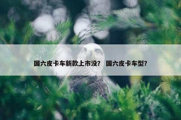 国六皮卡车新款上市没？ 国六皮卡车型？