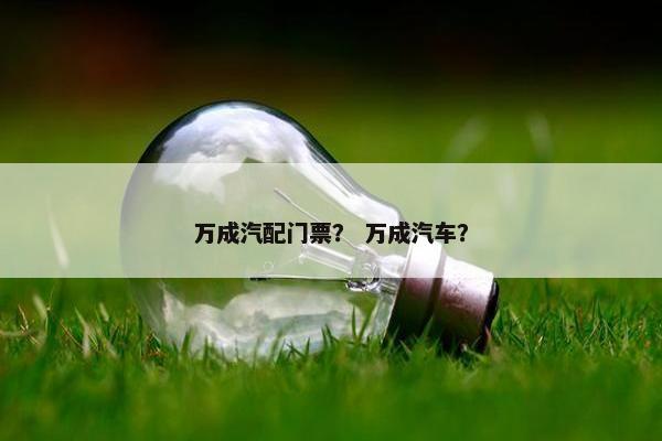 万成汽配门票？ 万成汽车？